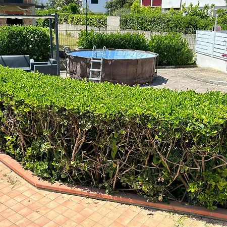 Aglaia30